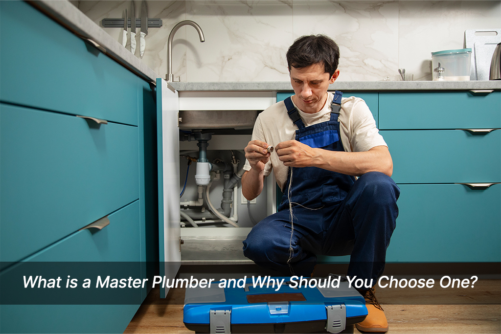 Master-Plumber